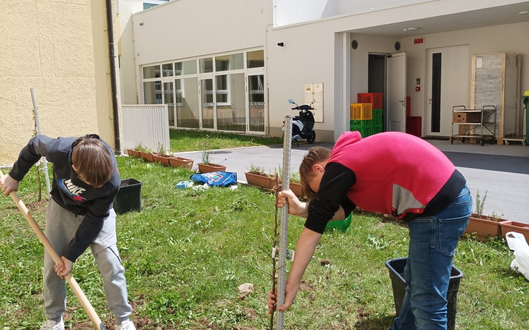 Utrinki z izbirnih predmetov Kmetijska dela in Sodobno kmetijstvo