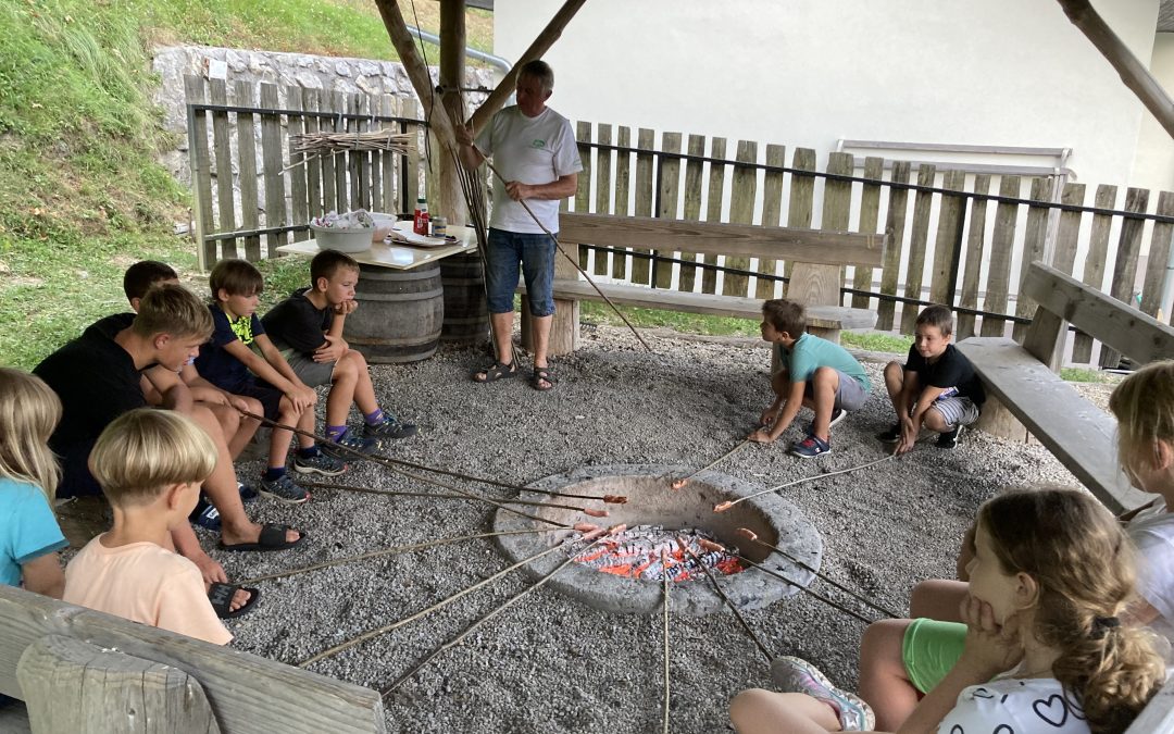 Počitniški naravoslovni tabor Marija Reka, 2023 – 2. poročanje