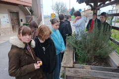 IMG_20250410_075126
